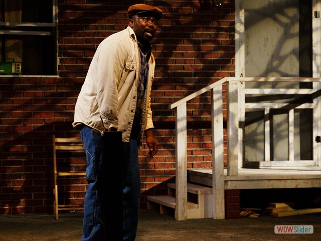 Fences7